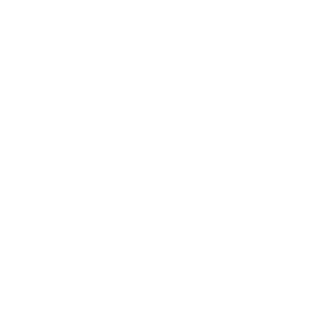 SEGURIDAD Y EFICIENCIA